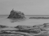 Une pause...(crayon graphite) 14/20cm. 2014 - Paysages marins (suite)