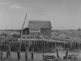 Cabane à Oléron (crayon graphite) 14/20cm. 2014 - Paysages marins (suite)