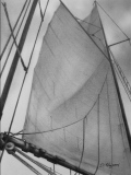 Voiles 02 (crayon graphite) 24/32cm. 2014 - Voiliers et gréement